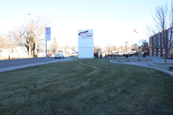 a picture of Correct white balance for daylight.