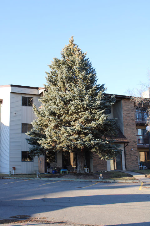 a picture of Wide-angle shot. (30mm or less)